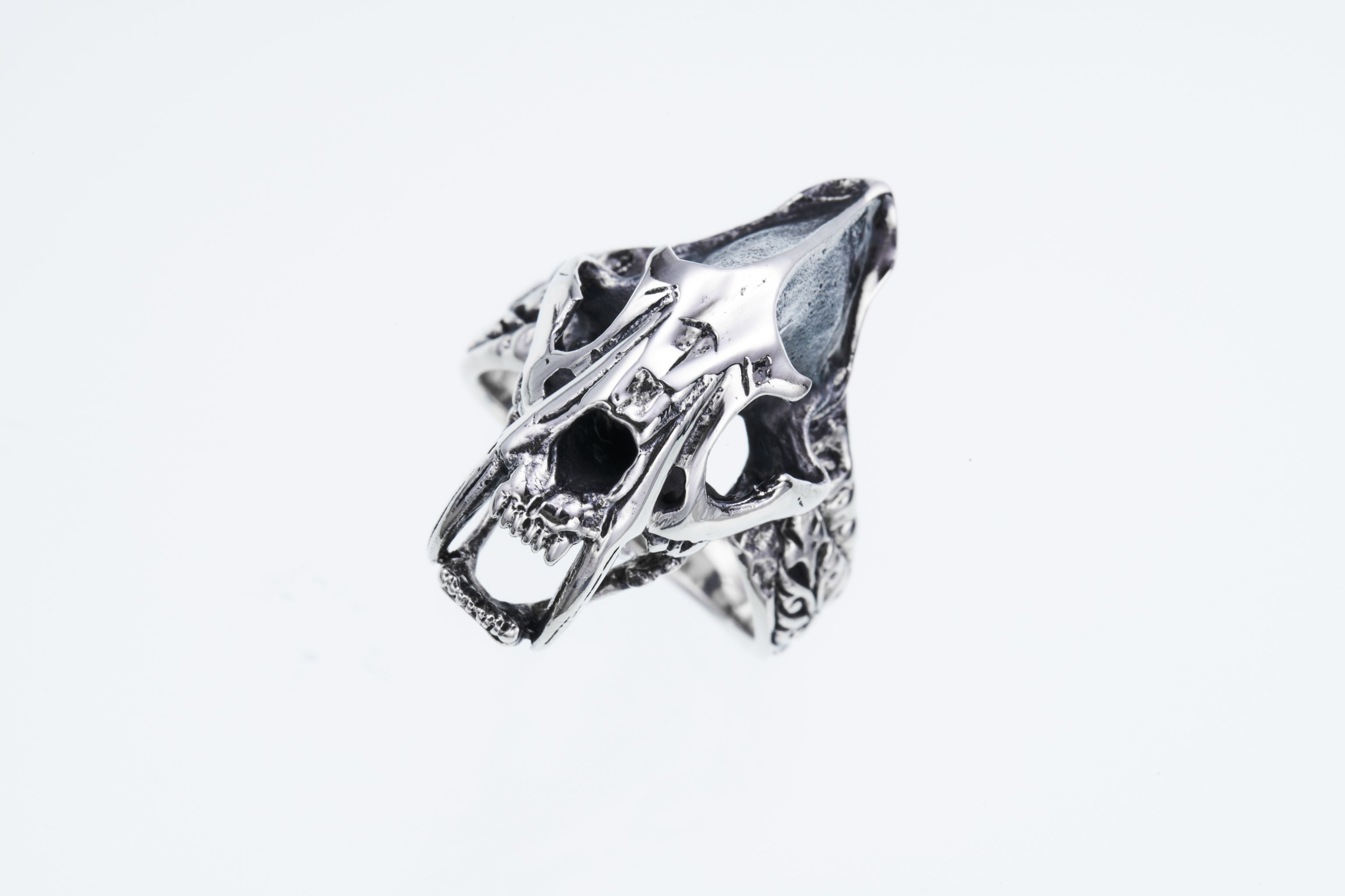 Saber-Toothed Tiger Ring (S) – ZOCALO JAPAN OFFICIAL WEB SITE