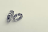 Ivy Spinning Ring-ZOCALO.JAPAN