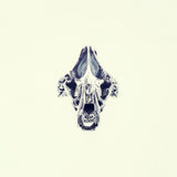 Saber Toothed Tiger Ring (S)-ZOCALO.JAPAN