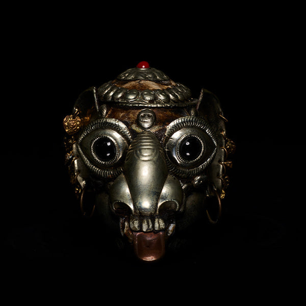 Tibetan Monkey Skull : ZOCALO Collection : 輪廻を見つめる眼差し