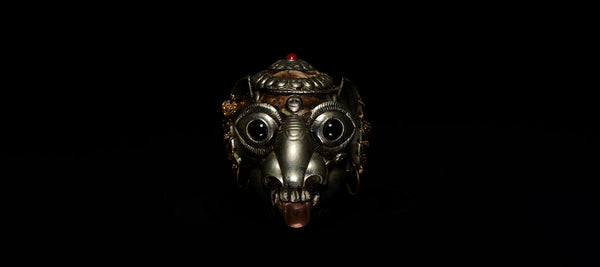 Tibettan Monkey Skull : 輪廻を見つめる眼差し
