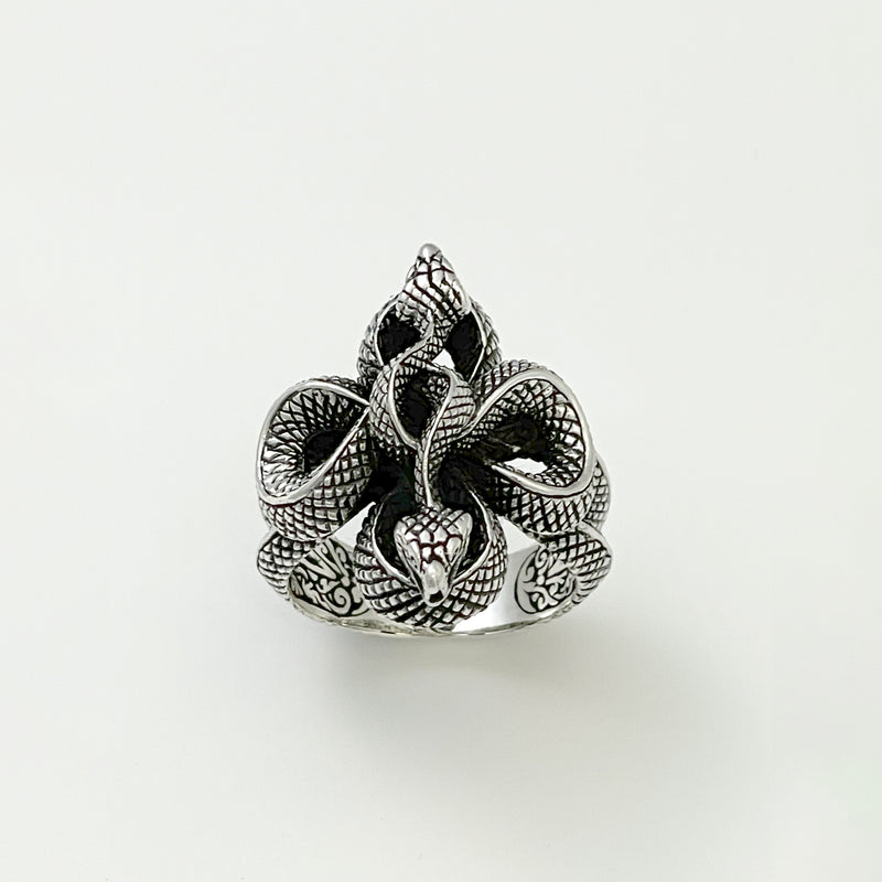 Double Infinity Snake Infinity Double Snake Ring : ∞(インフィニティー)・ダブル・スネーク・リング – ZOCALO JAPAN ...