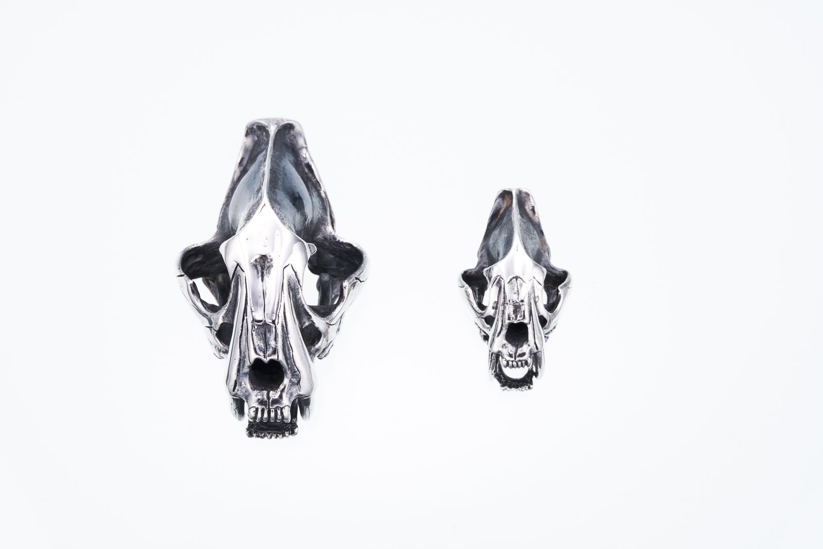 Saber Toothed Tiger Pendant : (S)｜サーベルタイガー・ペンダントトップ (S) – ZOCALO JAPAN  OFFICIAL WEB SITE
