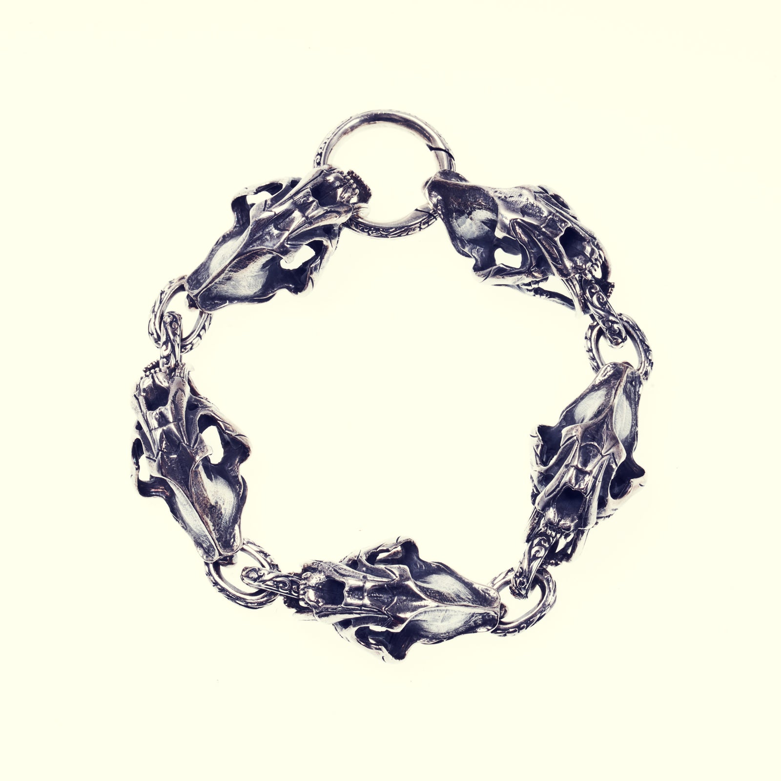 【ZOCALO】 サーベルタイガー　バングル Saber Toothed Tiger Bangle｜サーベルタイガー・バングル