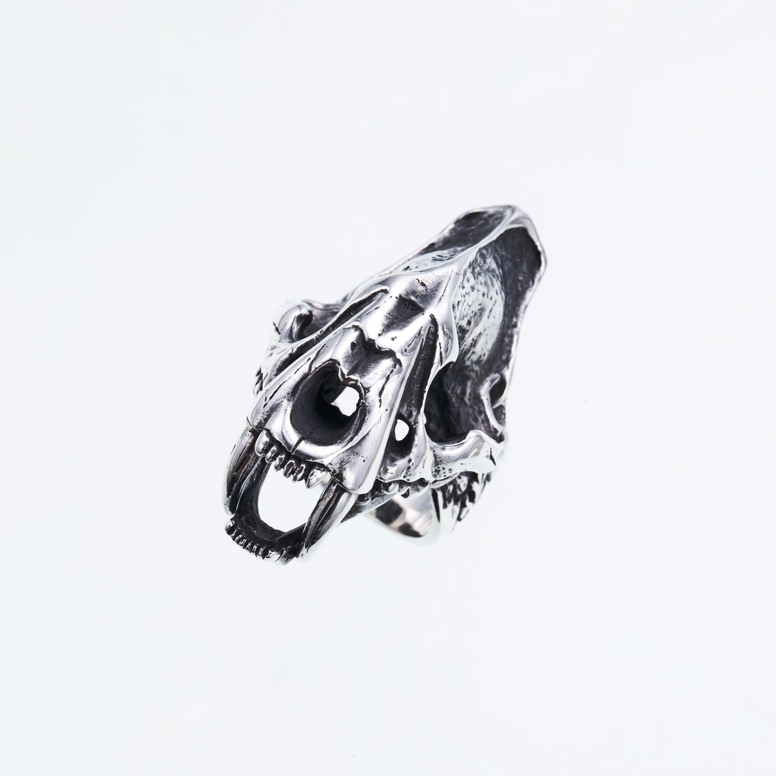 Saber Toothed Tiger Ring (L)｜サーベルタイガー・リング （L） – ZOCALO JAPAN OFFICIAL WEB  SITE